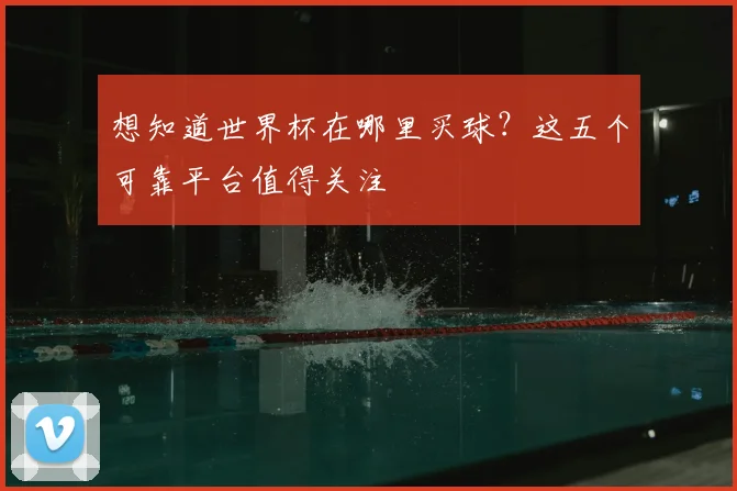 想知道世界杯在哪里买球？这五个可靠平台值得关注