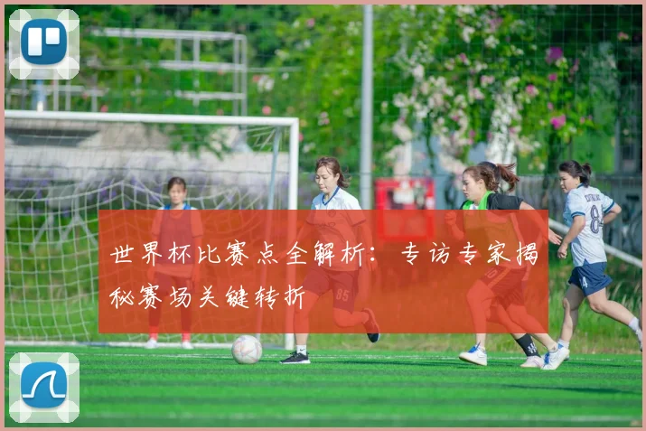 世界杯比赛点全解析：专访专家揭秘赛场关键转折