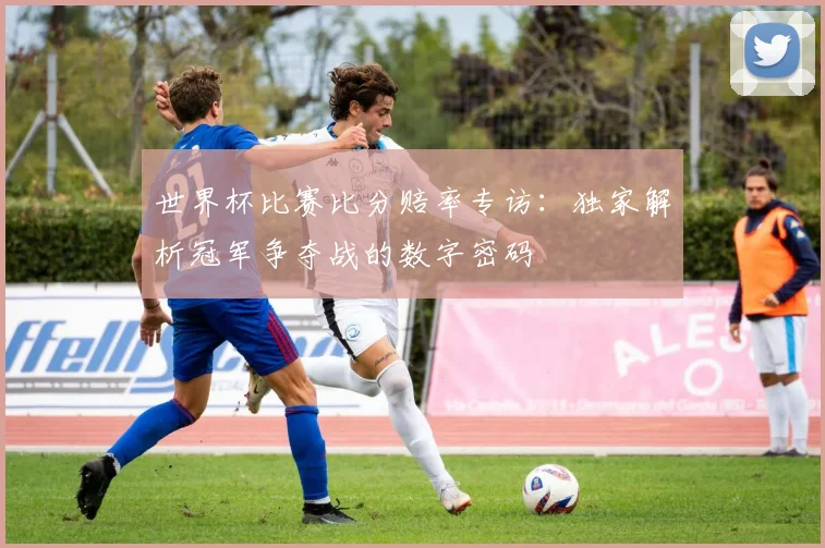世界杯比赛比分赔率专访：独家解析冠军争夺战的数字密码
