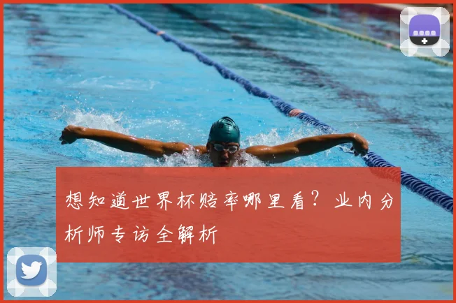 想知道世界杯赔率哪里看？业内分析师专访全解析