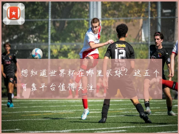 想知道世界杯在哪里买球？这五个可靠平台值得关注