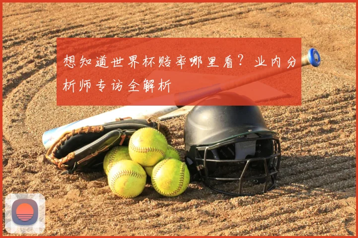 想知道世界杯赔率哪里看？业内分析师专访全解析